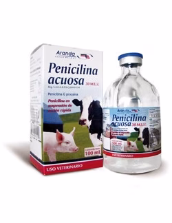 PENICILINA ACUOSA 30 M.U.I. 100 ML ARANDA